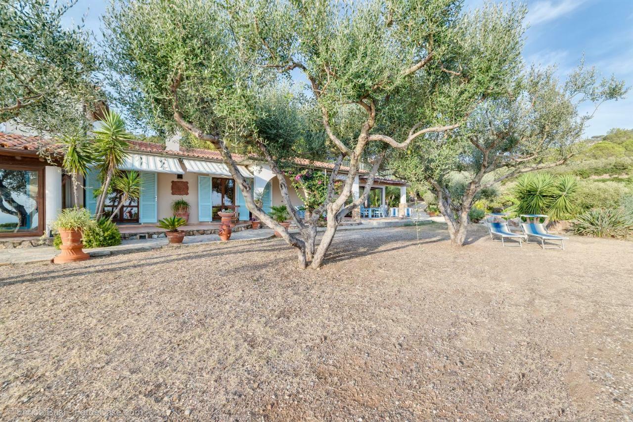 Villatramontistella Capoliveri  Exterior foto